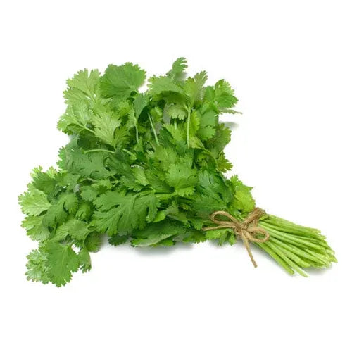 CORIANDER PKT 100GM