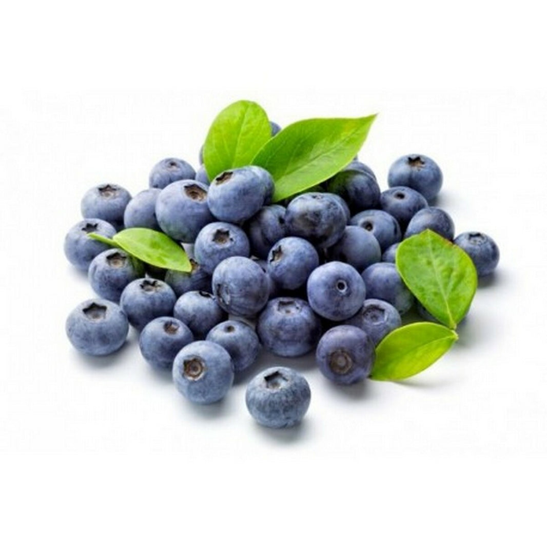 Fresh Blueberry Fruit, 125g
