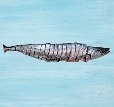 King Fish Big Cuts 1 kg