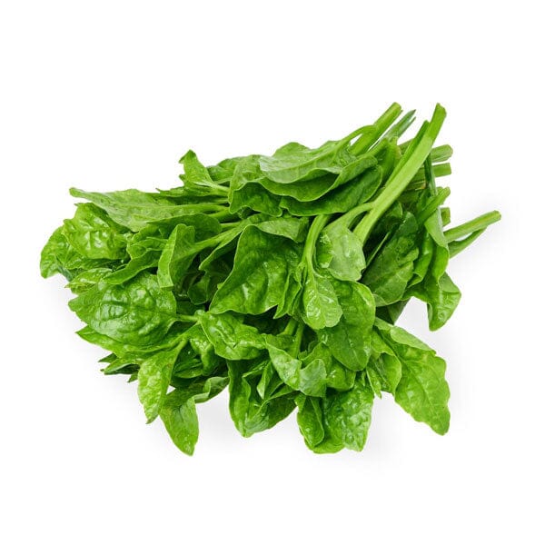 Alugbati (Per Bunch) Herbs Pinoygrocers