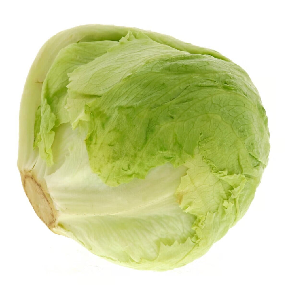 Ice Berg Lettuce (500Gm) Herbs Pinoygrocers