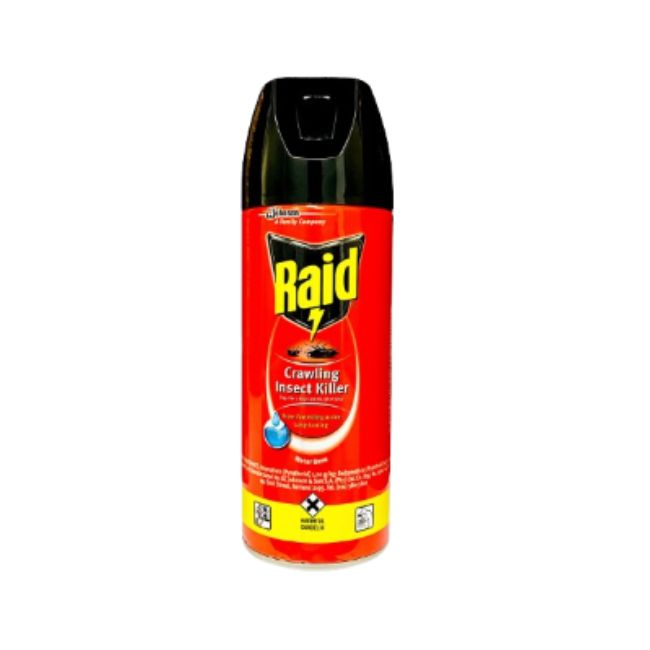 Raid Crawling Insect Killer 300 ML Pesticides Pinoygrocers