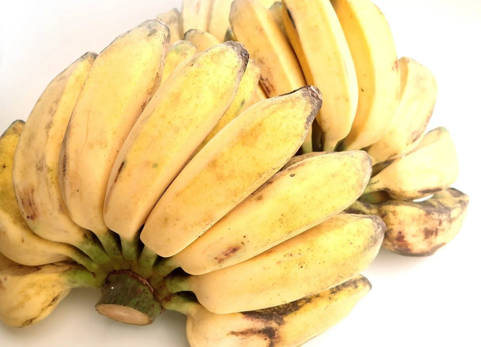 SABA BANANA 1 KG
