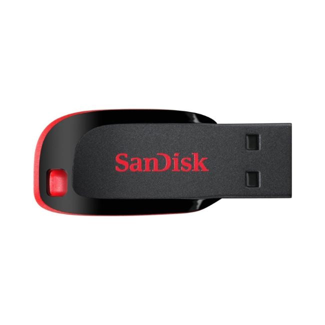 Sandisk Cruzer Blade Usb Flash Drive 16 Gb 1 pc Accessories Pinoygrocers