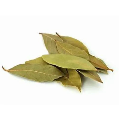 Bay Leaf