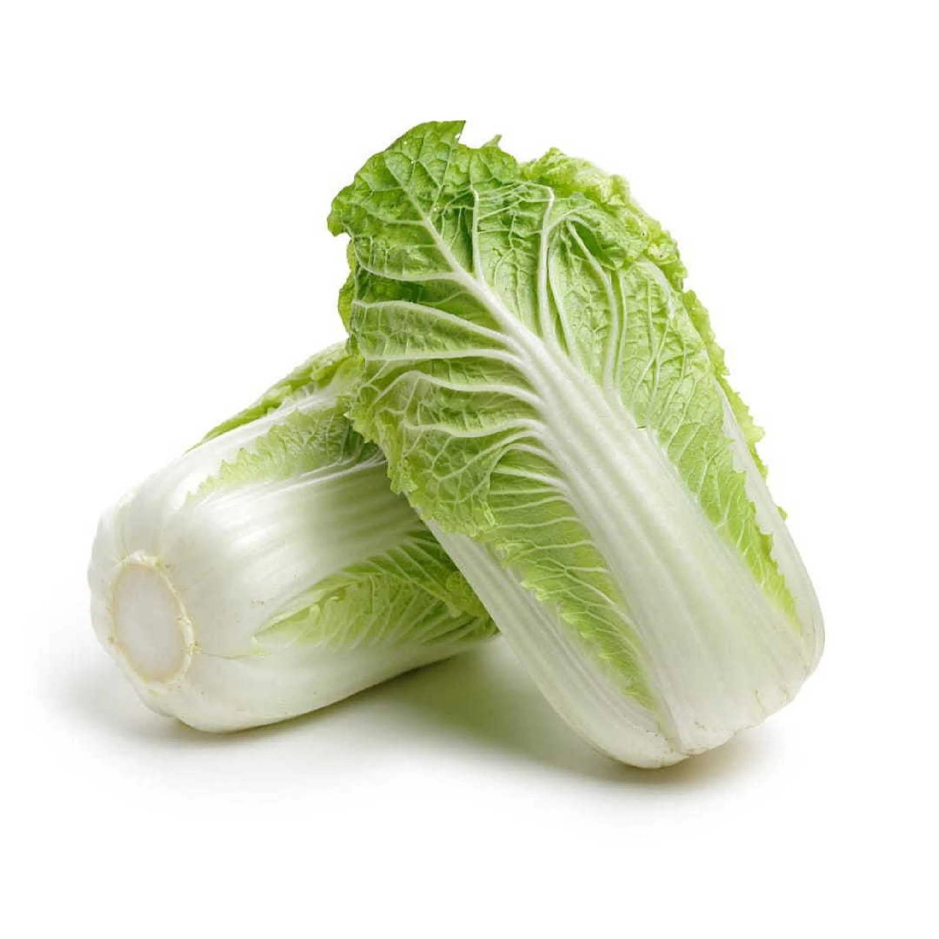 Chinese Cabbage 500G