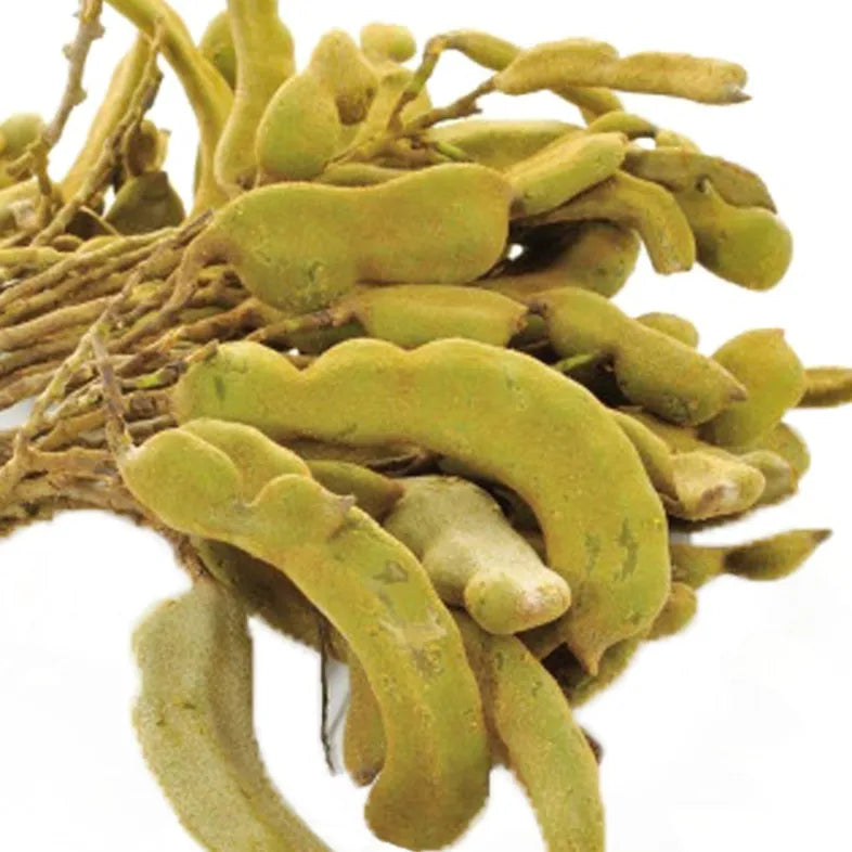 Fresh Tamarind Green Pack