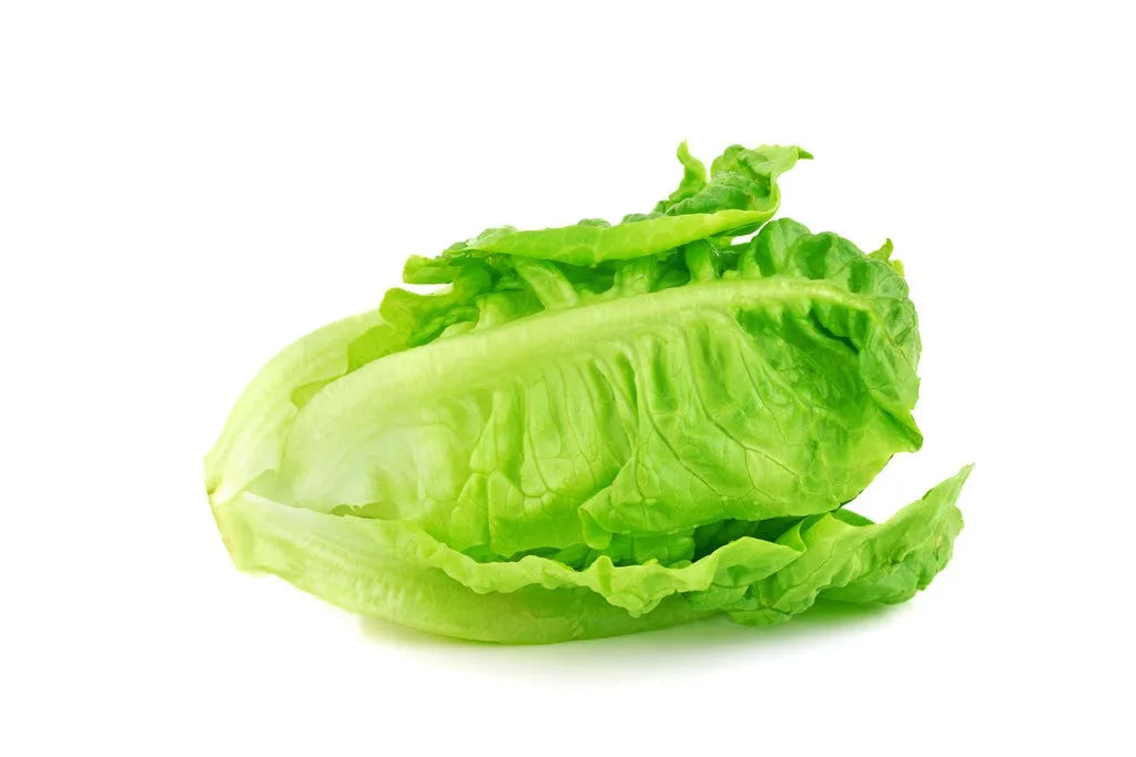 Cut Lettuce 1 Pkt
