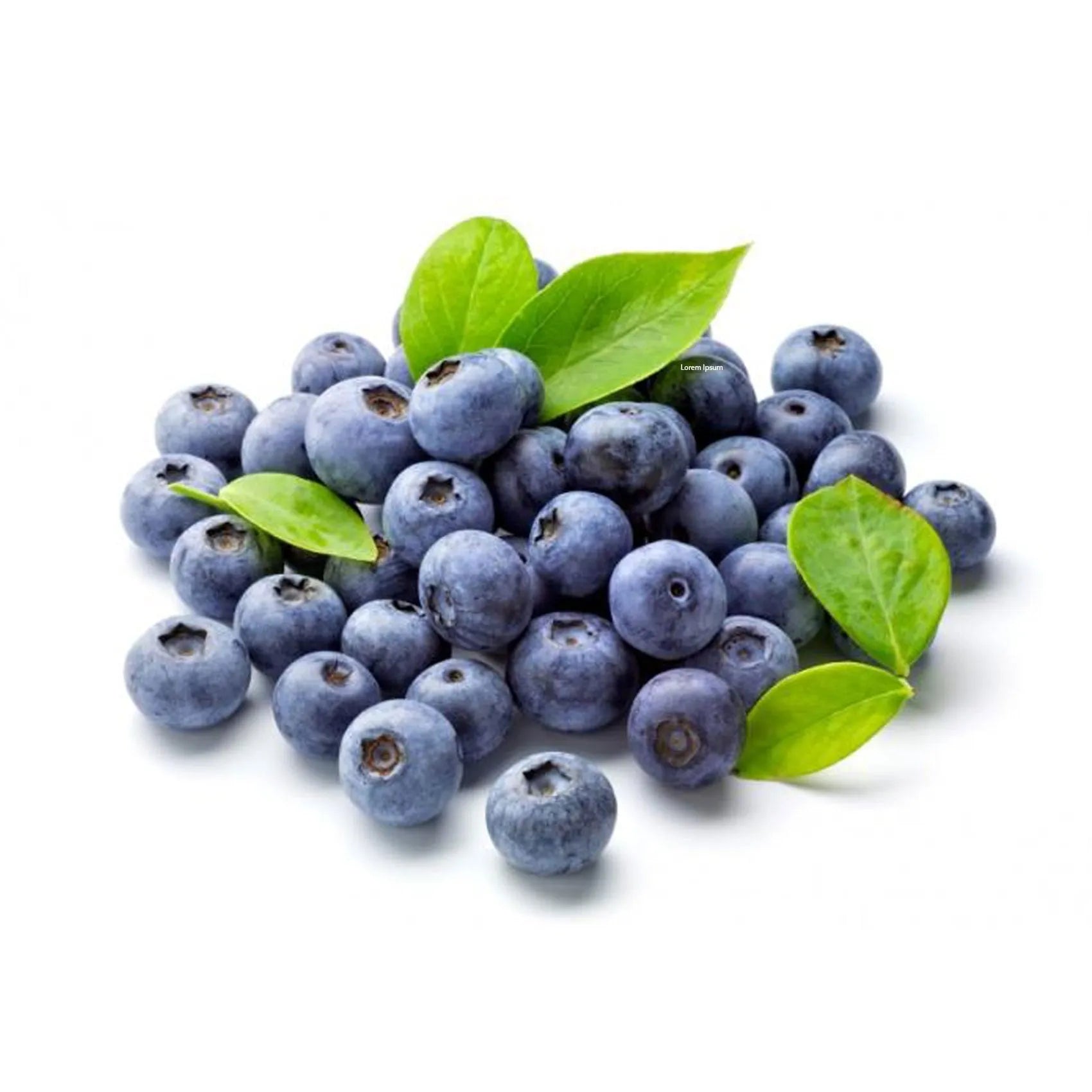 Fresh Blueberry Fruit, 125G