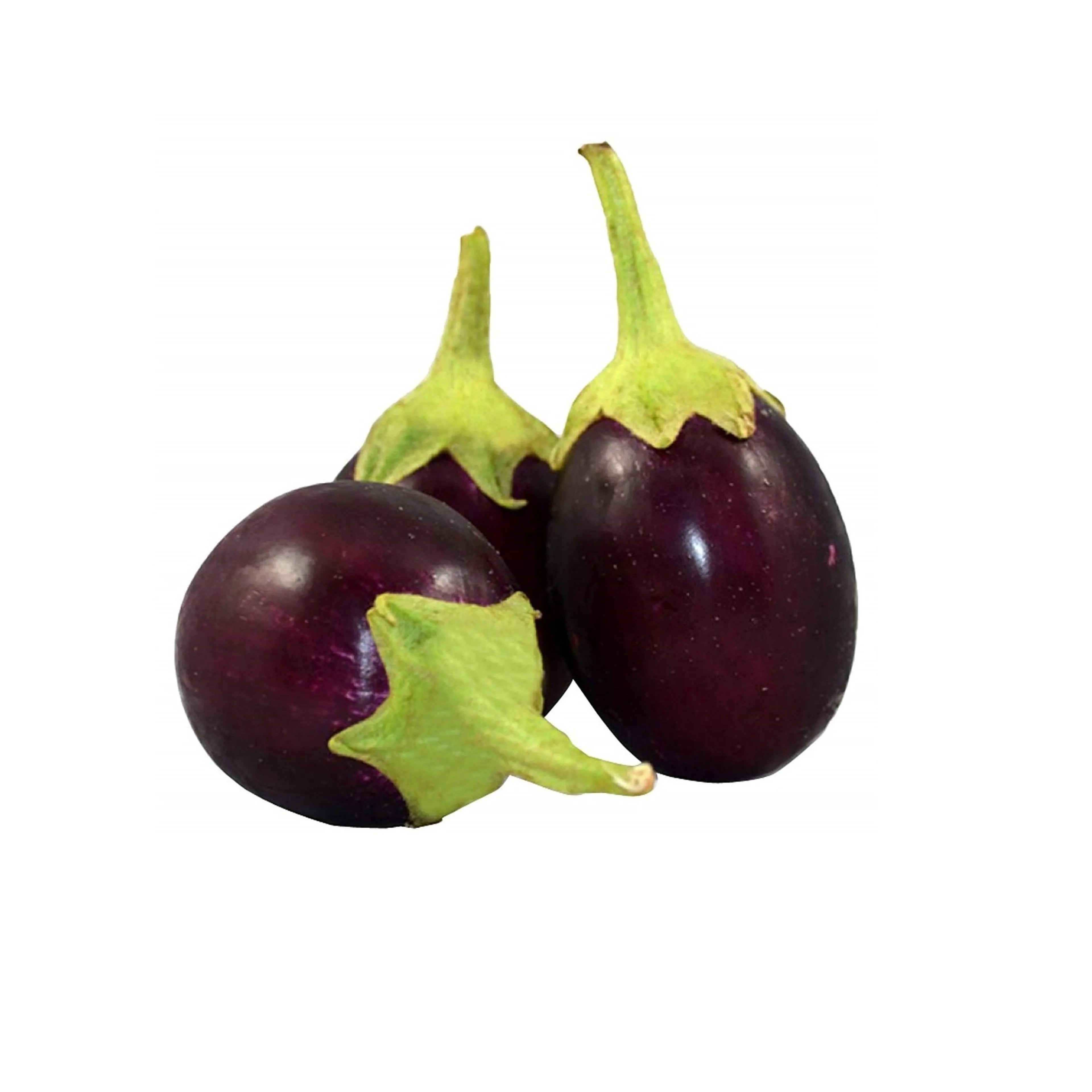 Eggplant Round Local, 500G