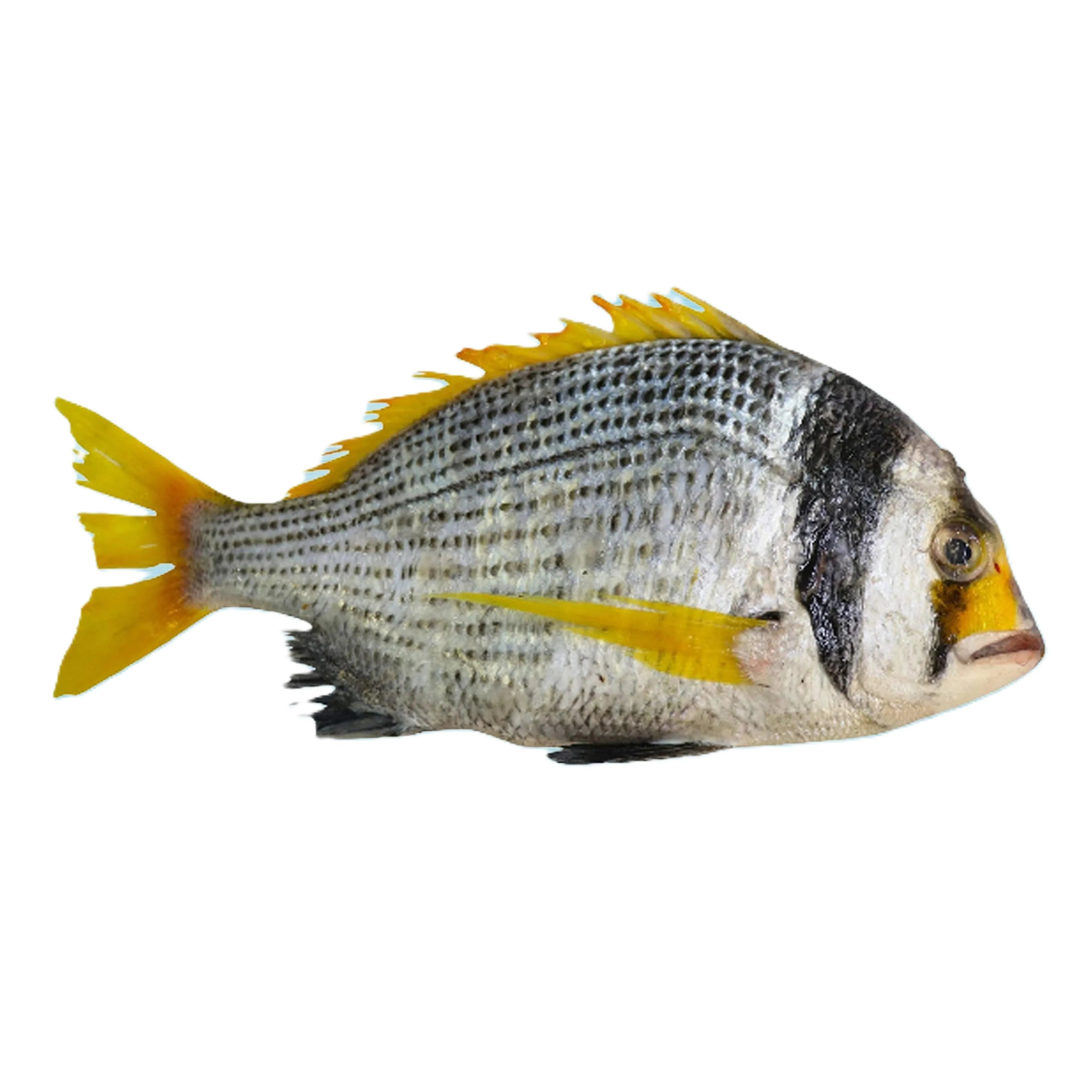 Fresh Fasker Fish 1Kg