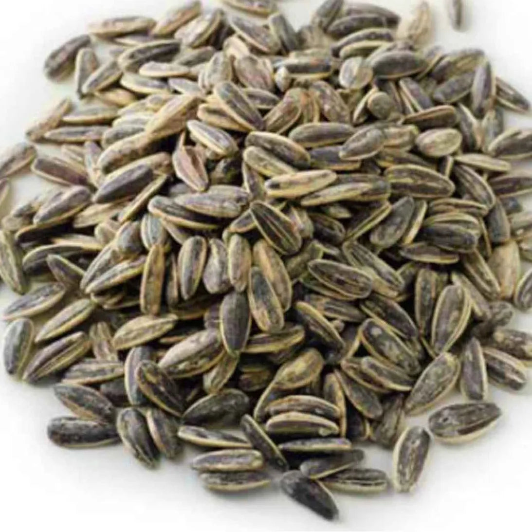Al Jazerra Sunflower Seed Salted 100 Gm