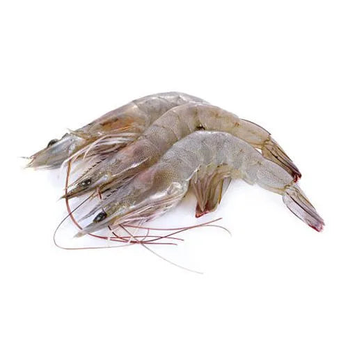 Prawns Big Kg