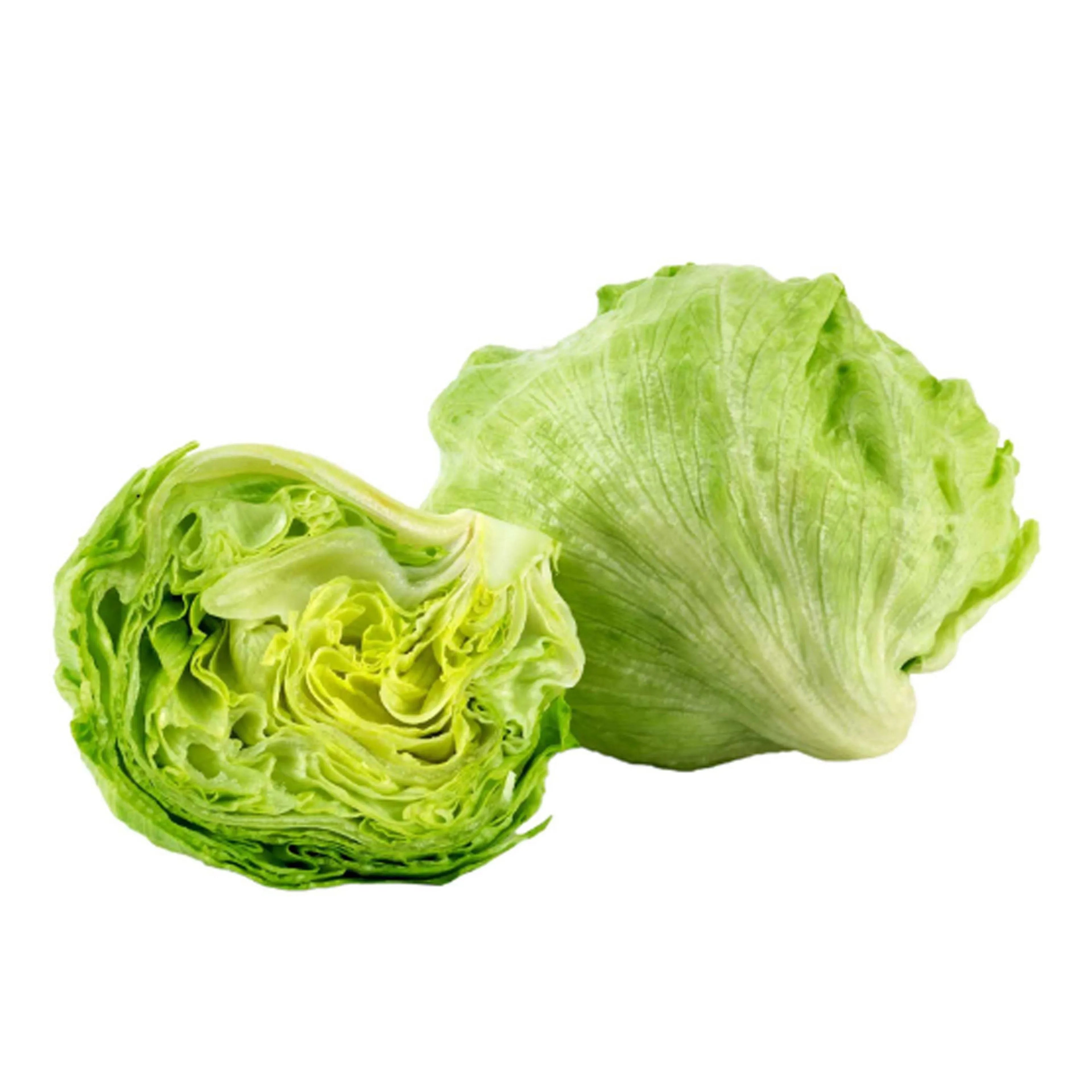 Iceberg Lettuce 500G
