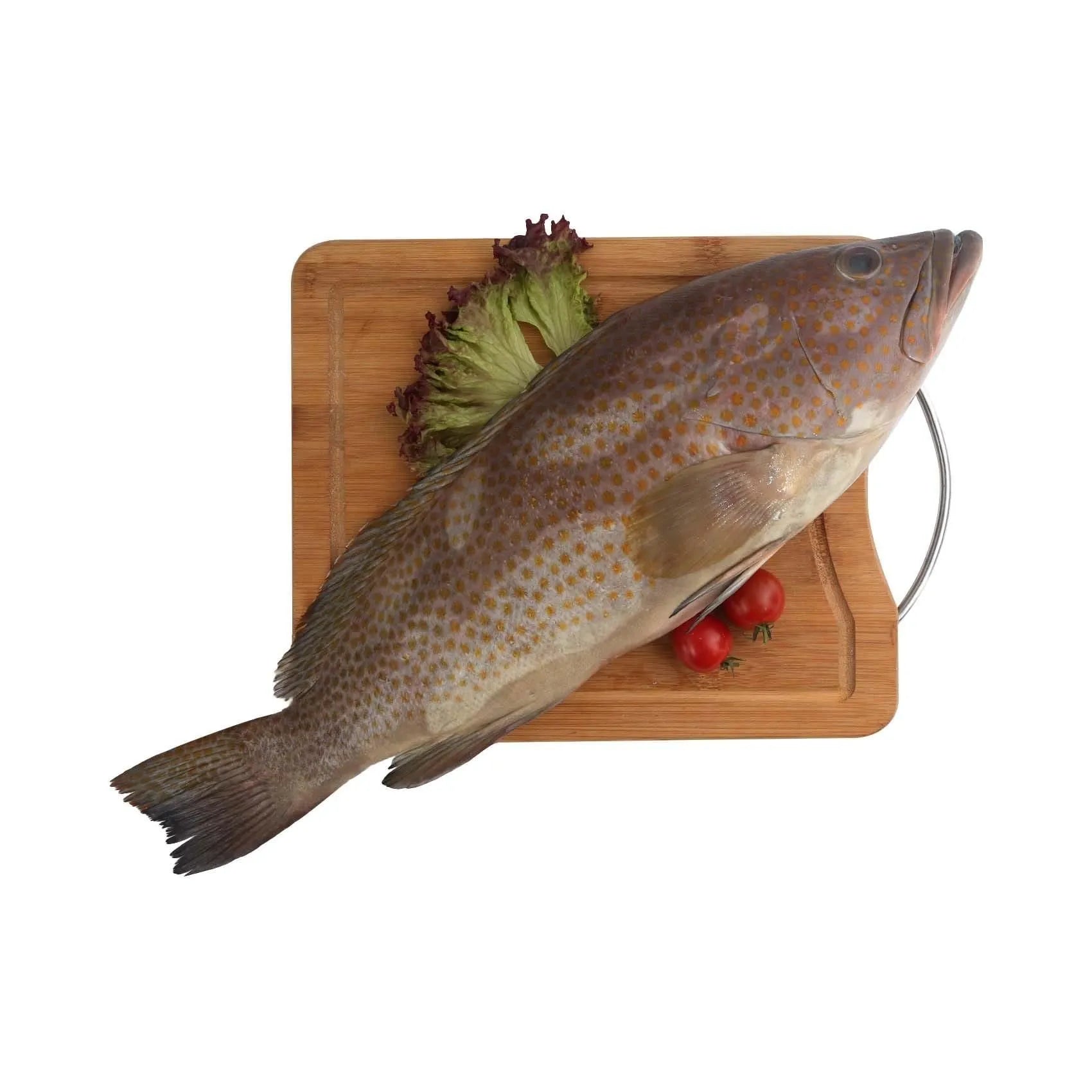 Fresh Summan Fish 500G