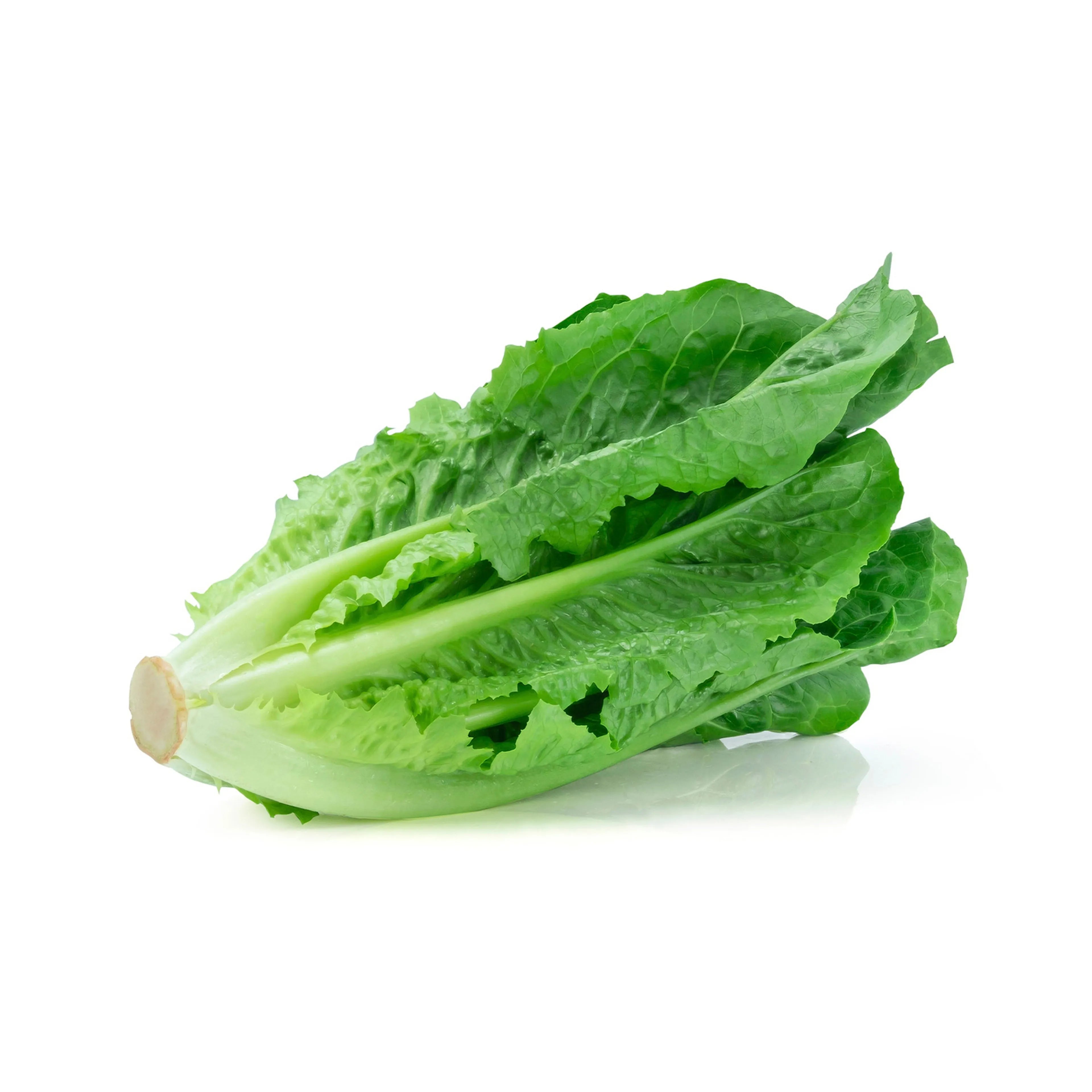 Lettuce 500Gm
