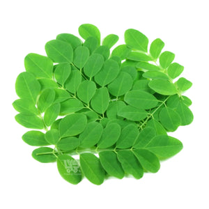 Malunggay Leaves (Per Bunch)