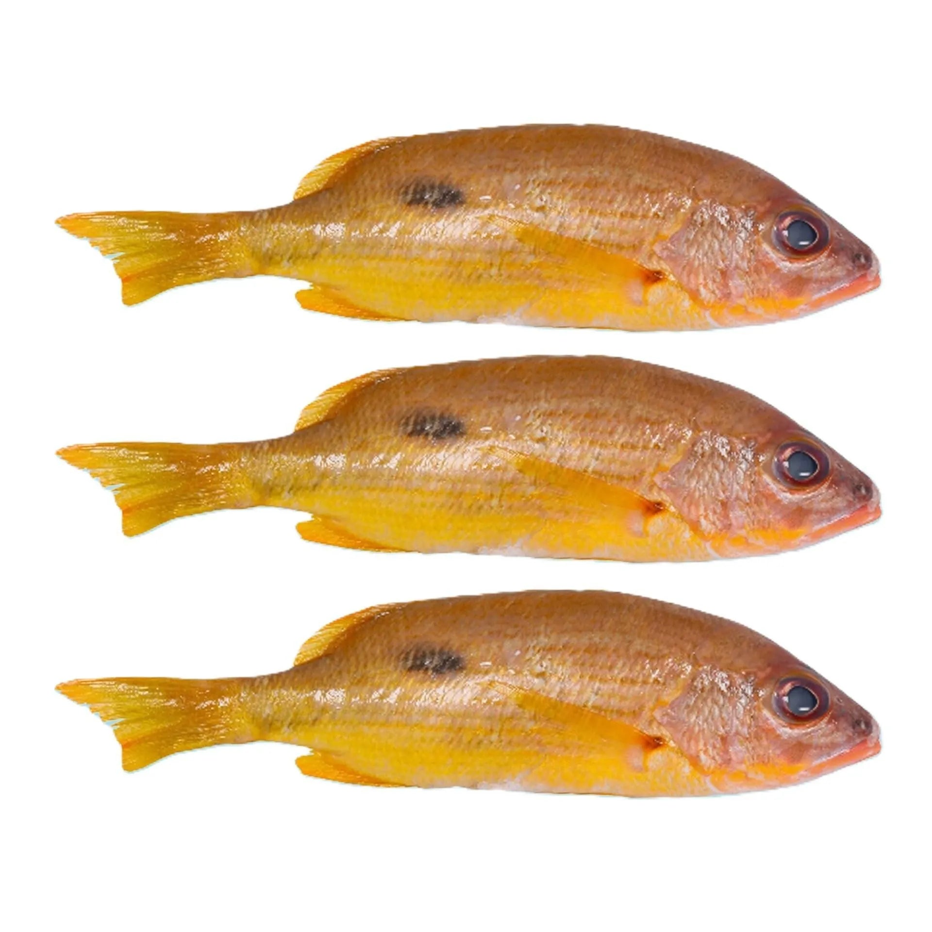 Fresh Naizer Fish 1Kg