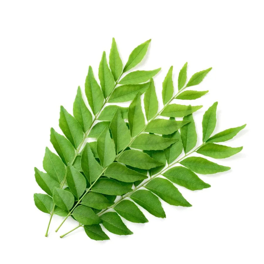 Curry Leaves 1Pkt