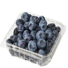 BLUEBERRY PKT 120GM