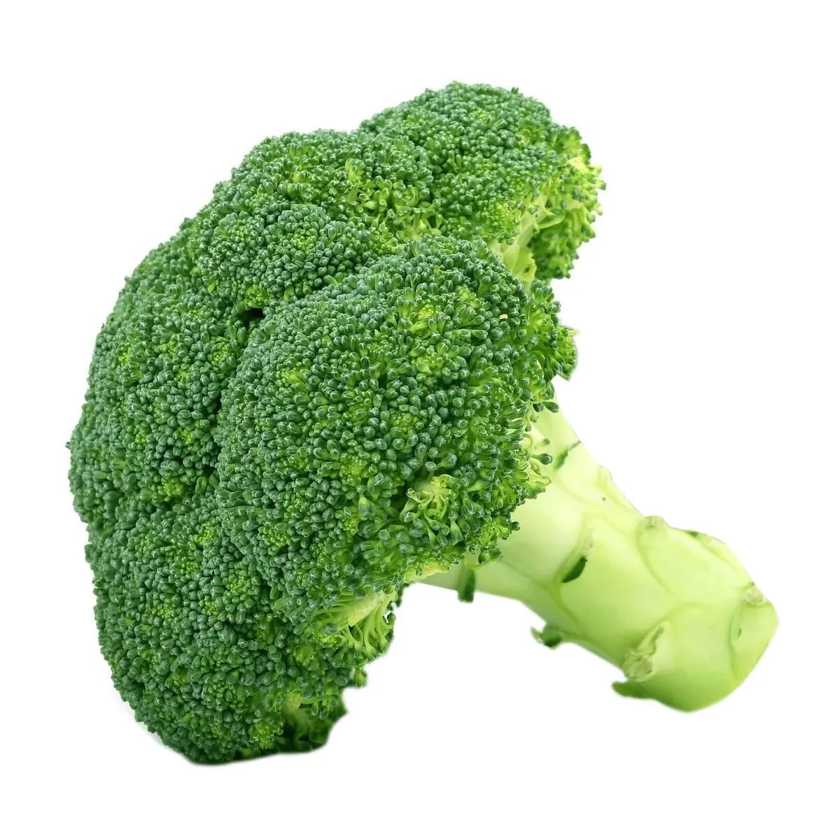 BROCCOLI (500GM)