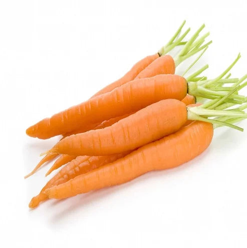 CARROT (1 PER KG)