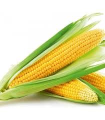 CORN YELLOW 1KG