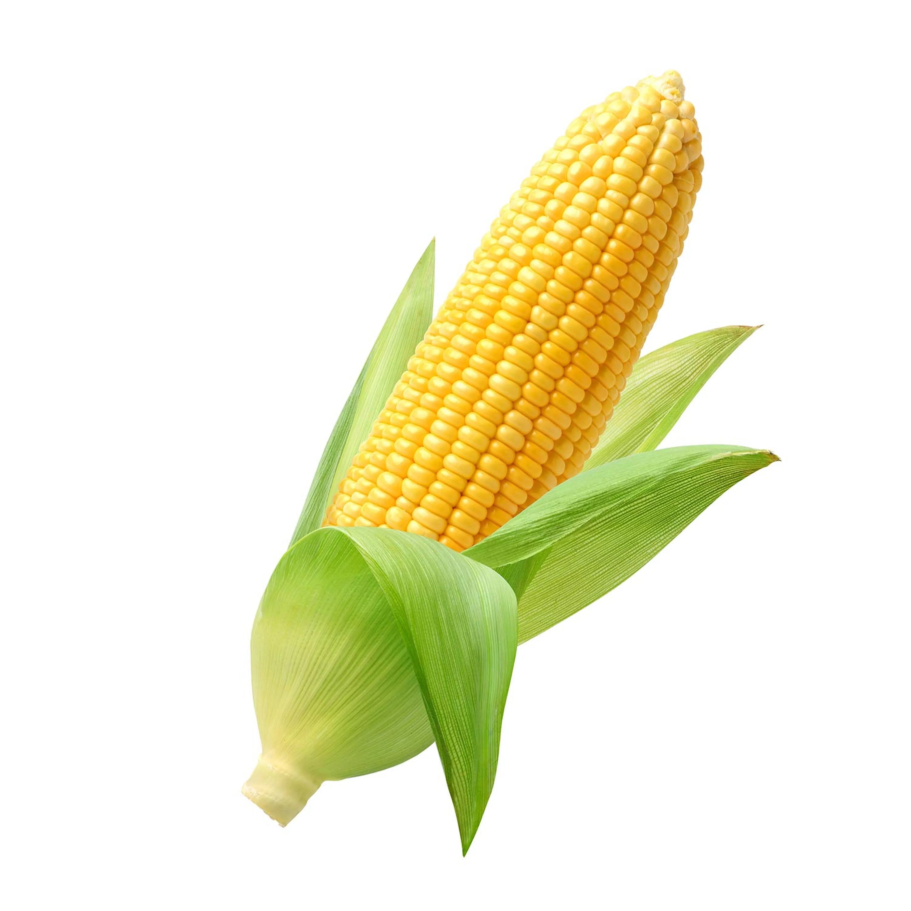 CORN YELLOW 1KG