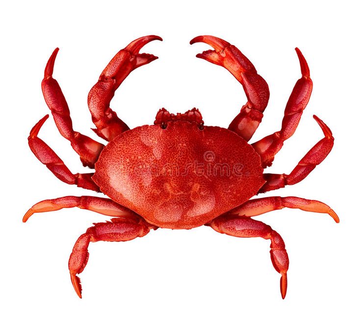CRAB (PER KG)