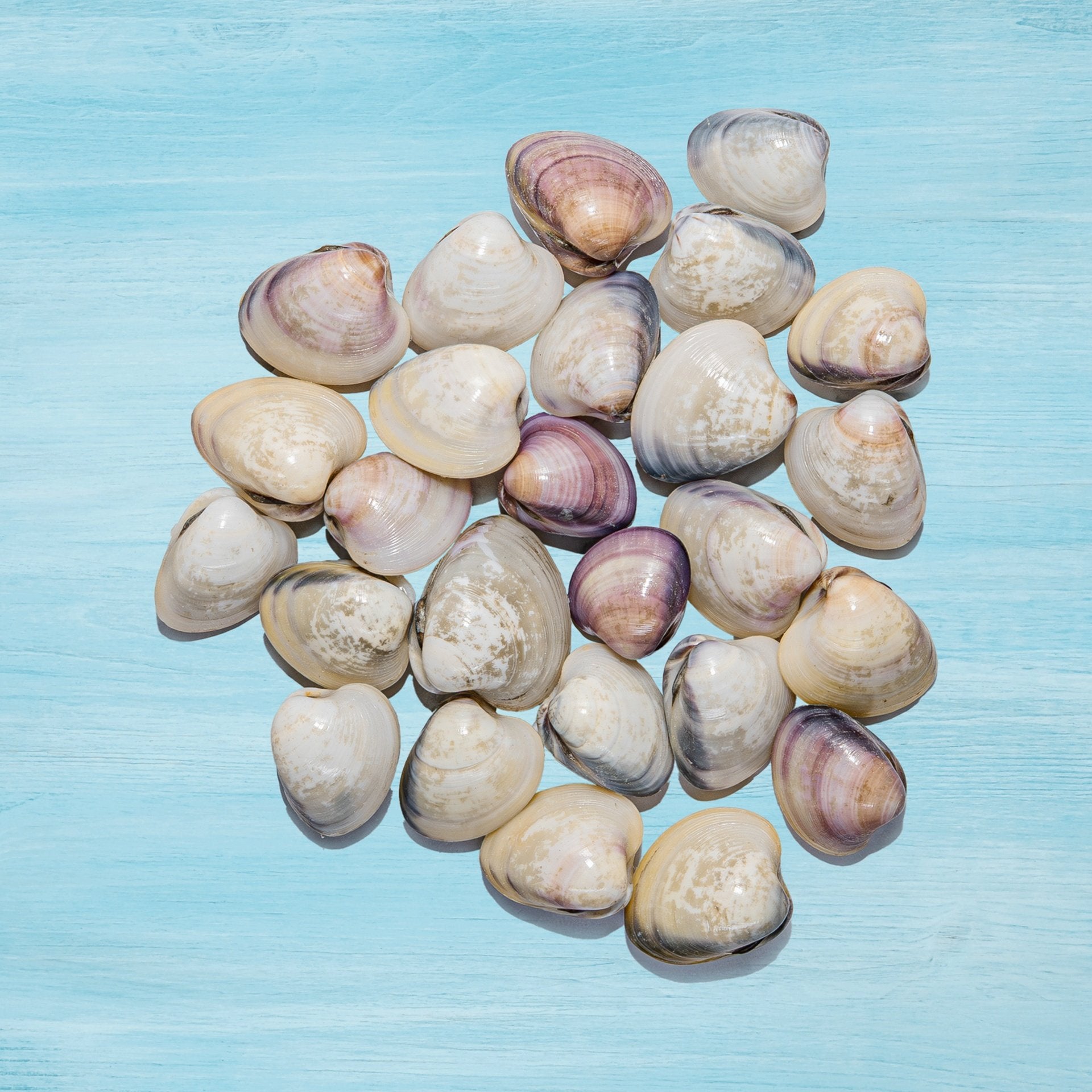 Clams Big With Shell 500 g