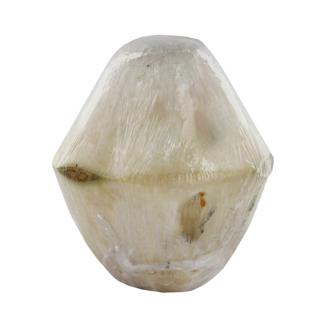 Coconut Young Tender 1 pcs