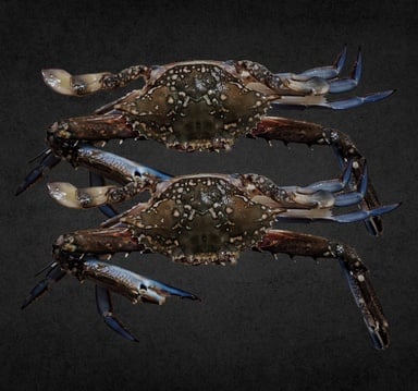 Crab Male Medium Local 500 g