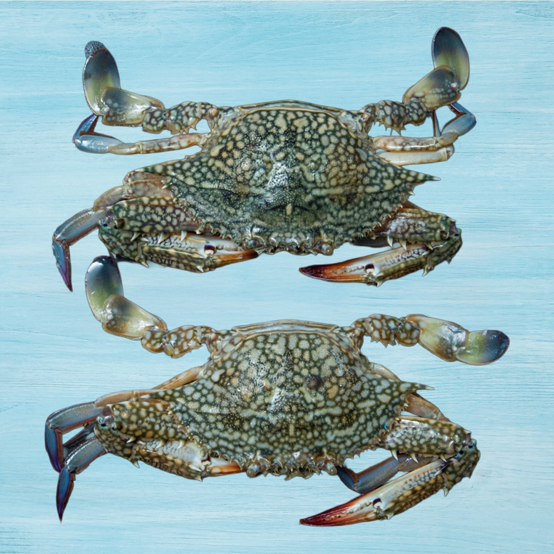 Crab Medium 500 g