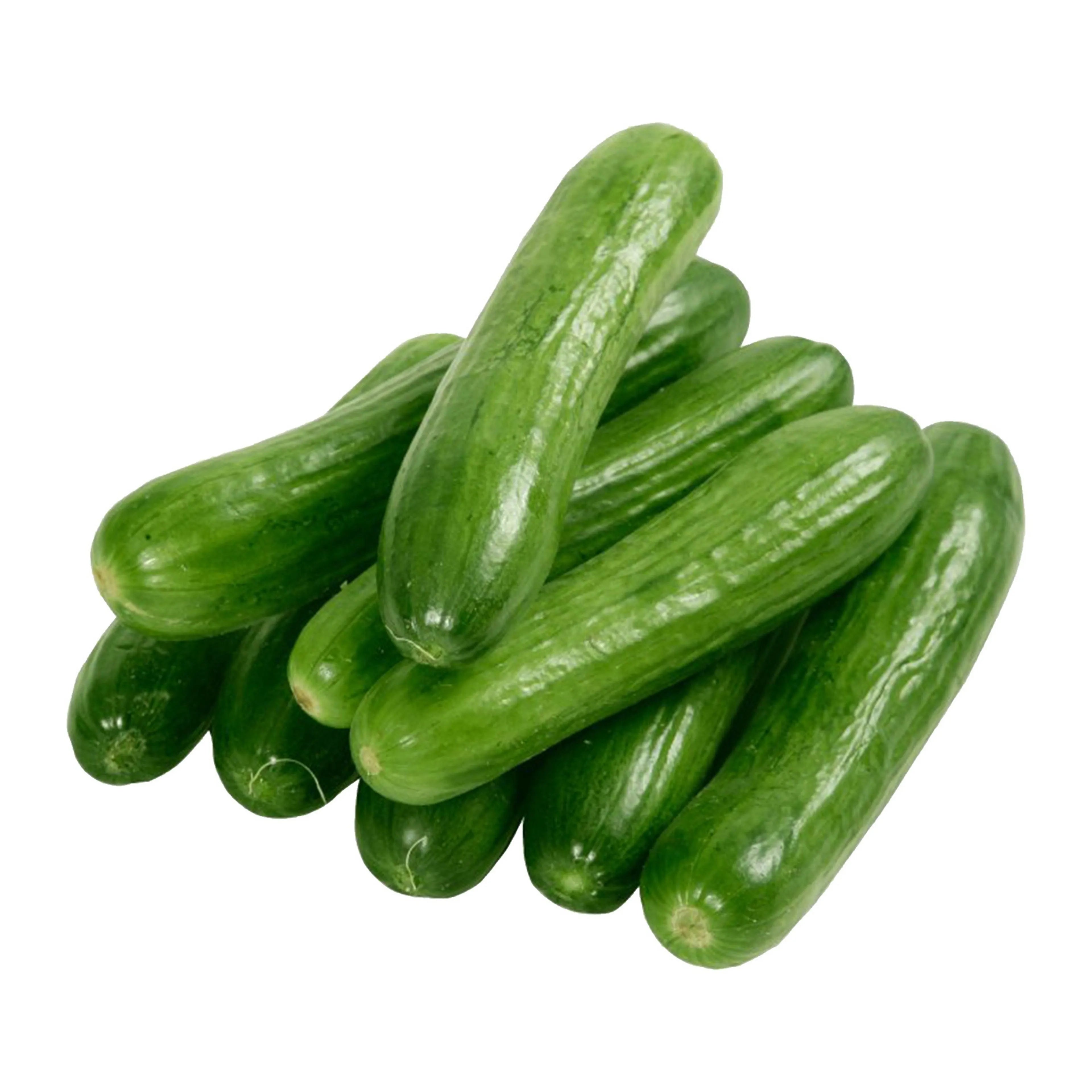 Cucumber (Per 500Gm)