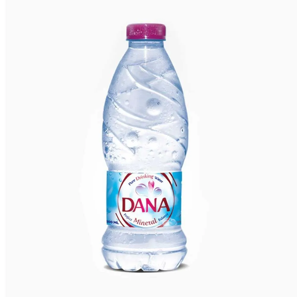 DANA WATER 500ML
