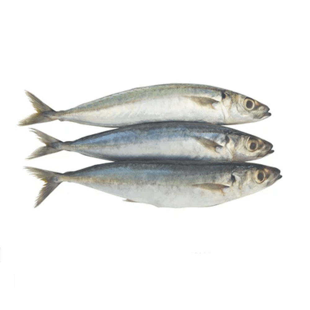 FRESH GALUNGONG, 500G