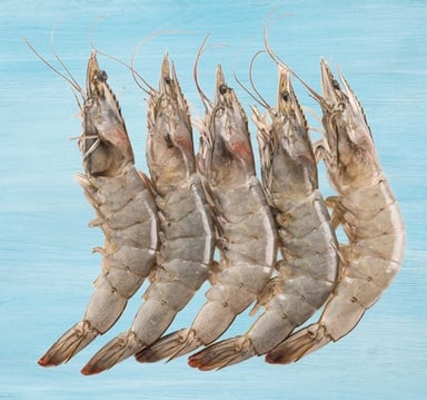 Farmed Prawns 20/30 500 g