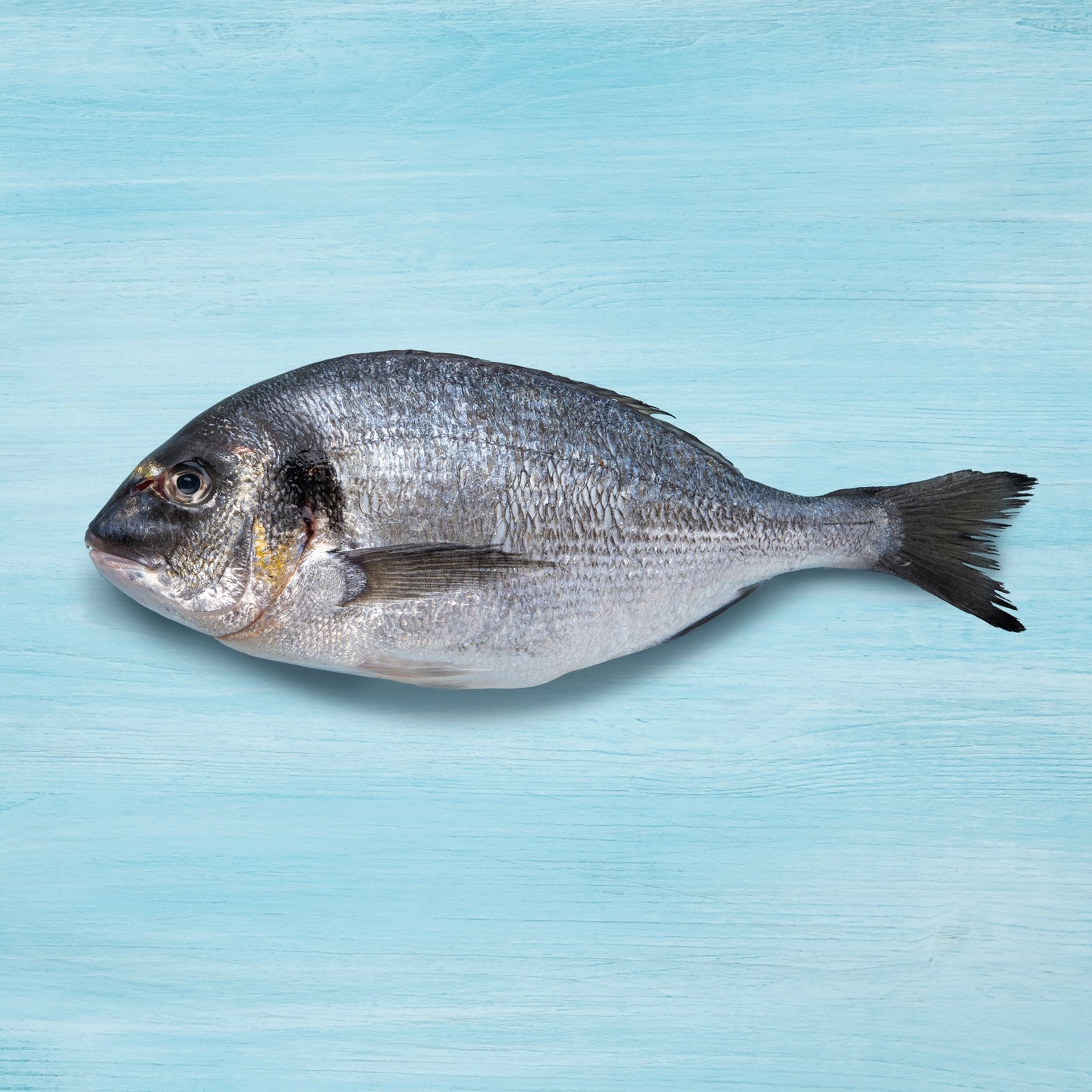 Farmed Sea Bream Whole Cleaned 1 kg