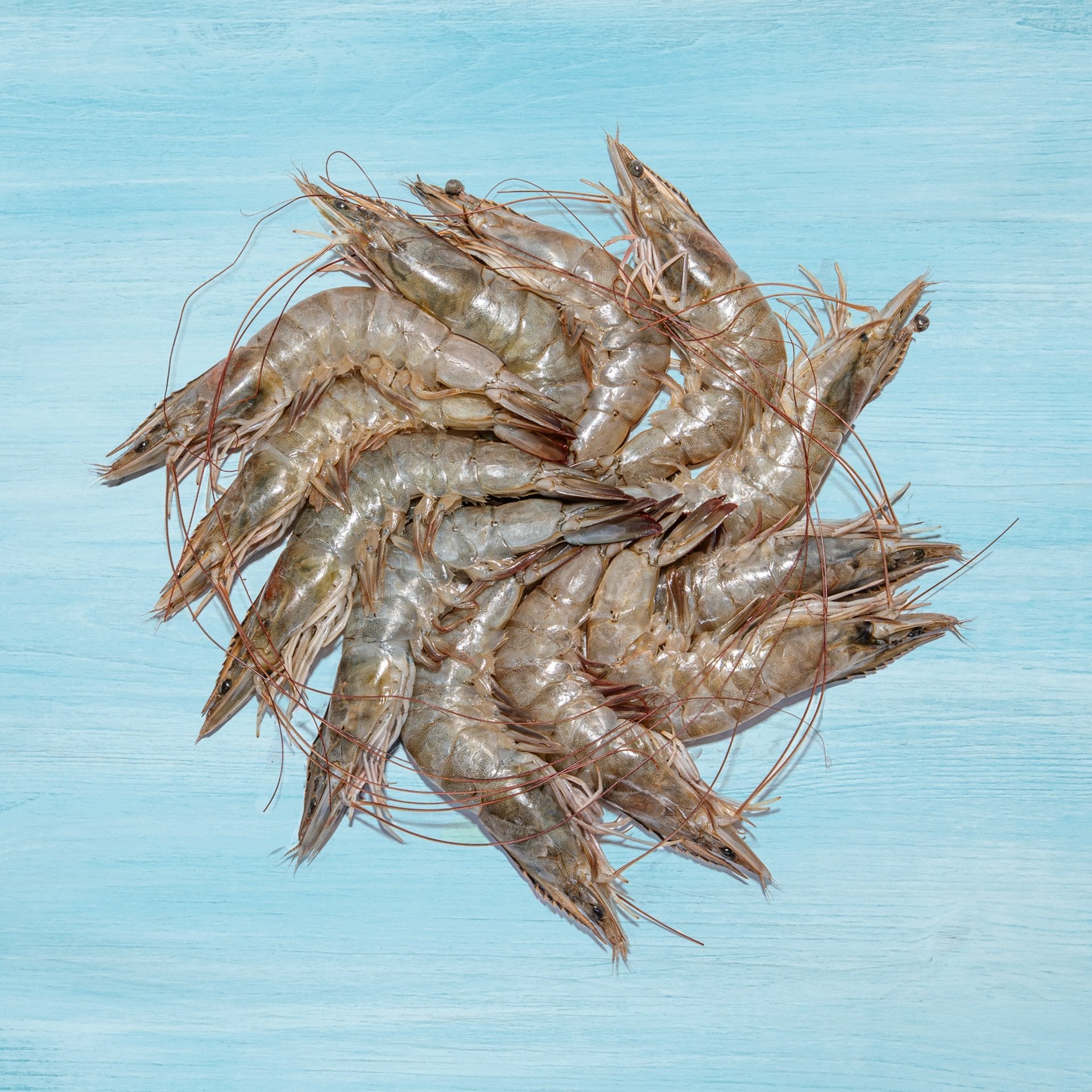 Fresh Farmed Prawns Large Not Cleaned 500 g