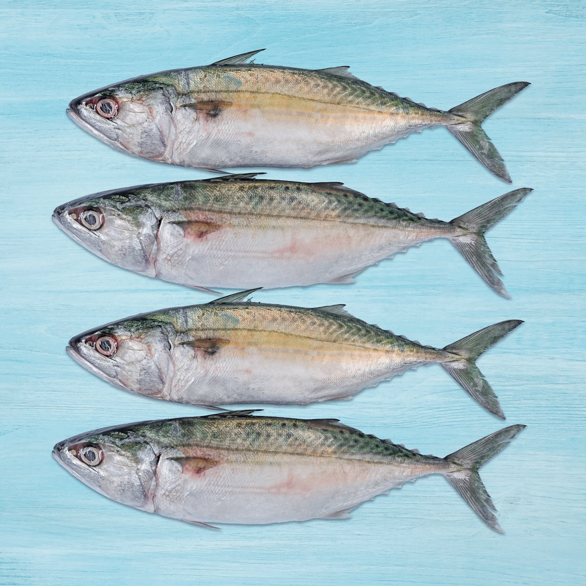 Fresh Mackerel Small 500 g