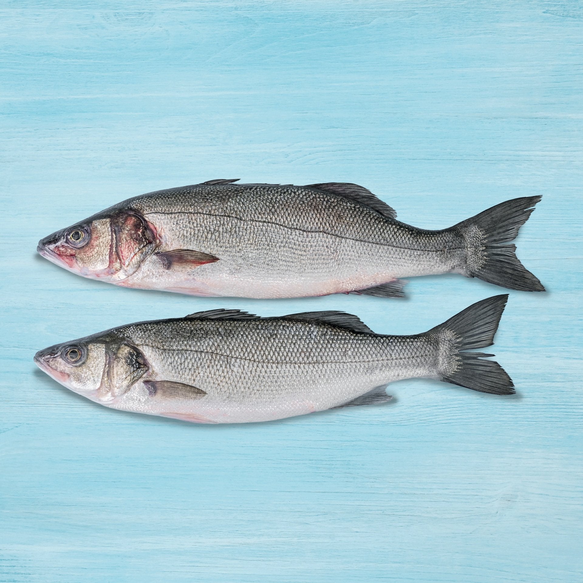 Fresh Sea Bass Whole Cleaned 1 kg