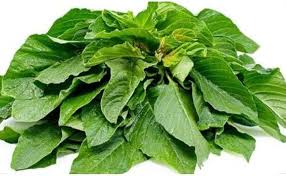 GREEN AMARANTH LEAVES, 1 PACK