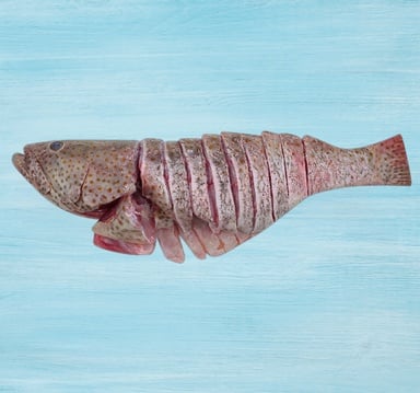 Hammour Fish Cuts 1 kg