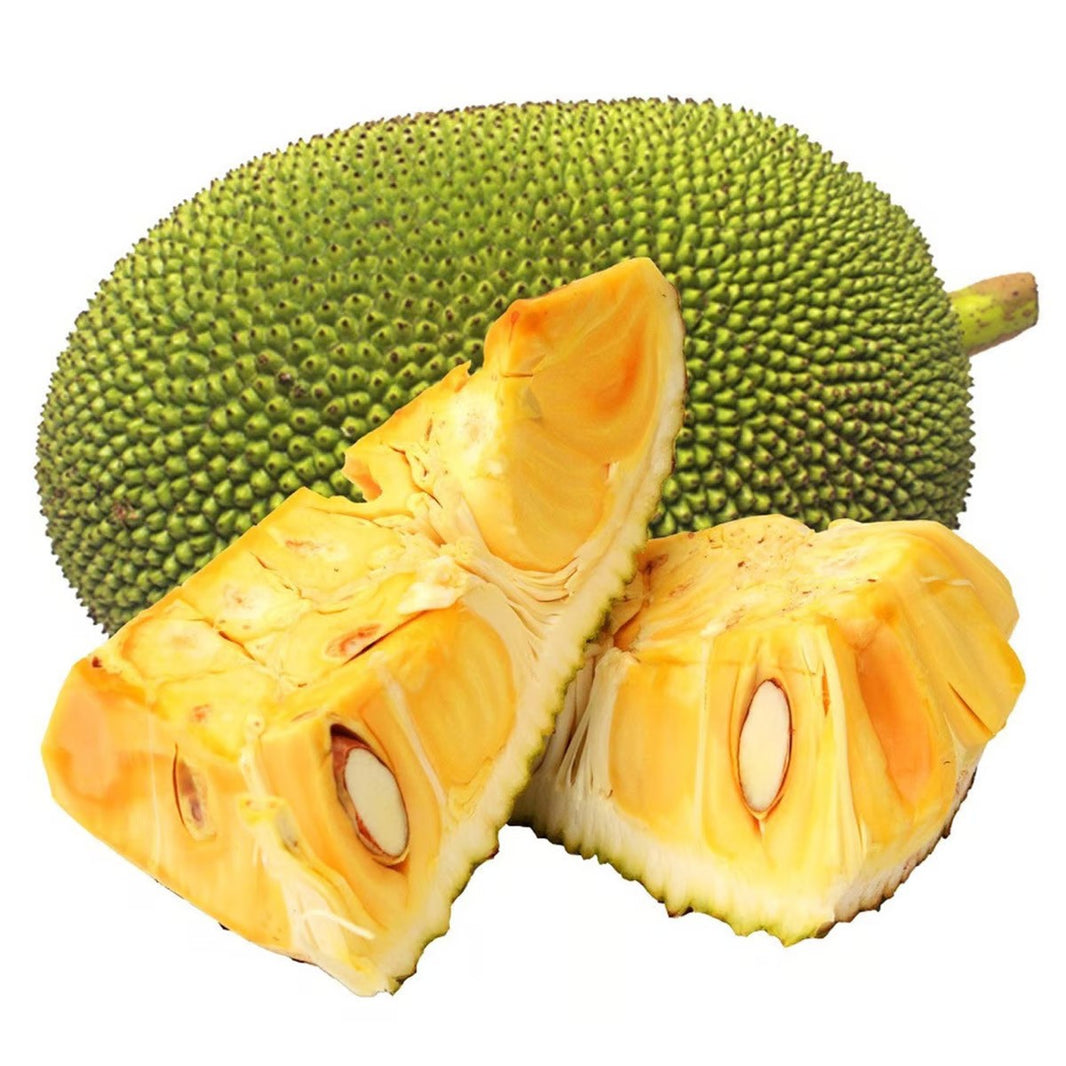 JACKFRUIT 1 PC (200GM)