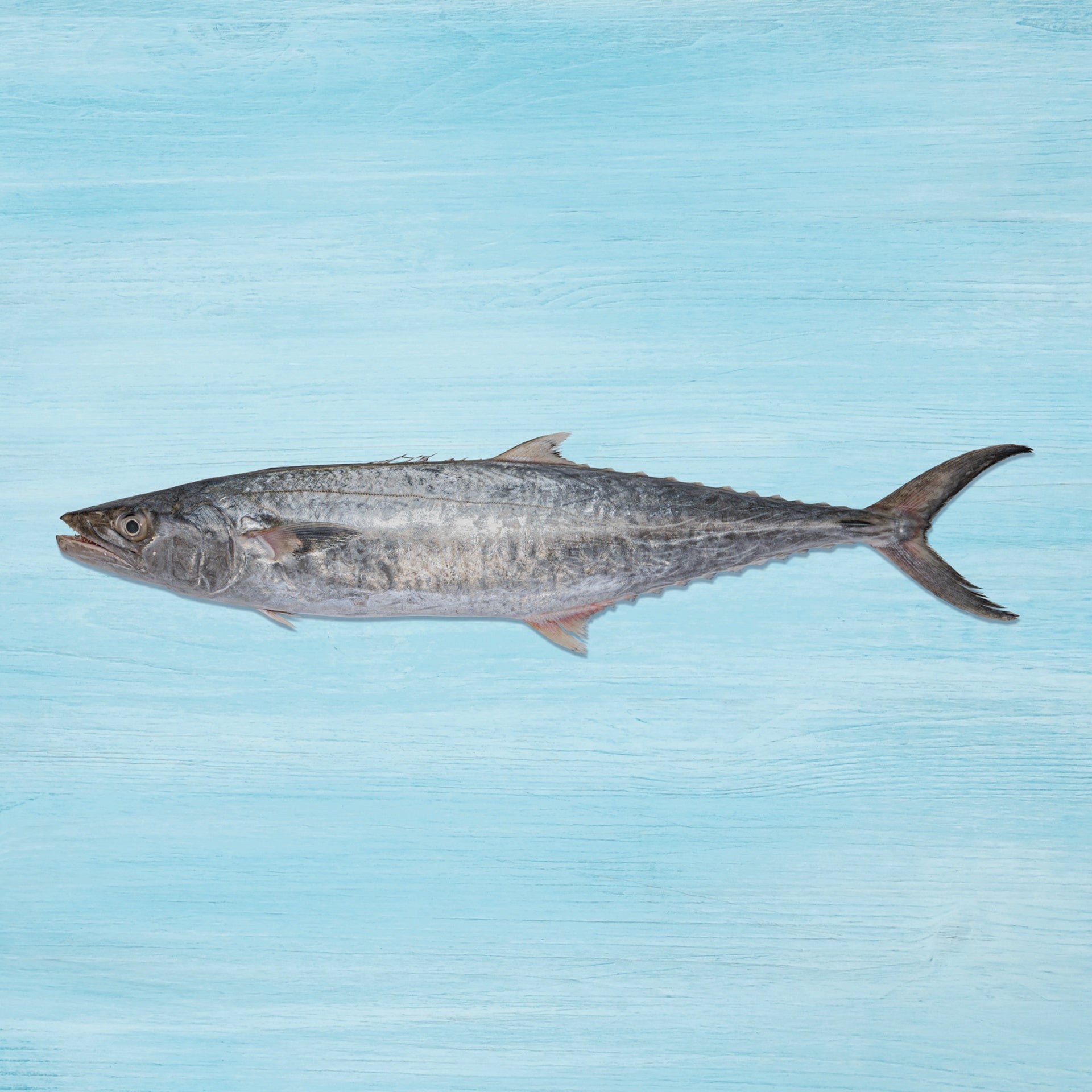 King Fish Small Not Cleaned 2 kg