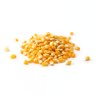 LEGENT POPCORN SEED 1KG