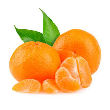 MANDARIN 500  GM