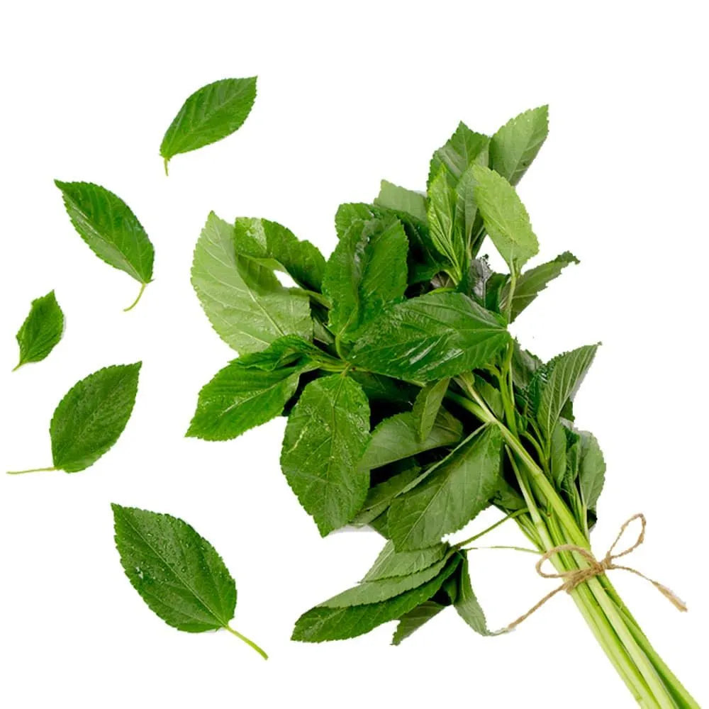 Molokhia Leaves, Per Bunch