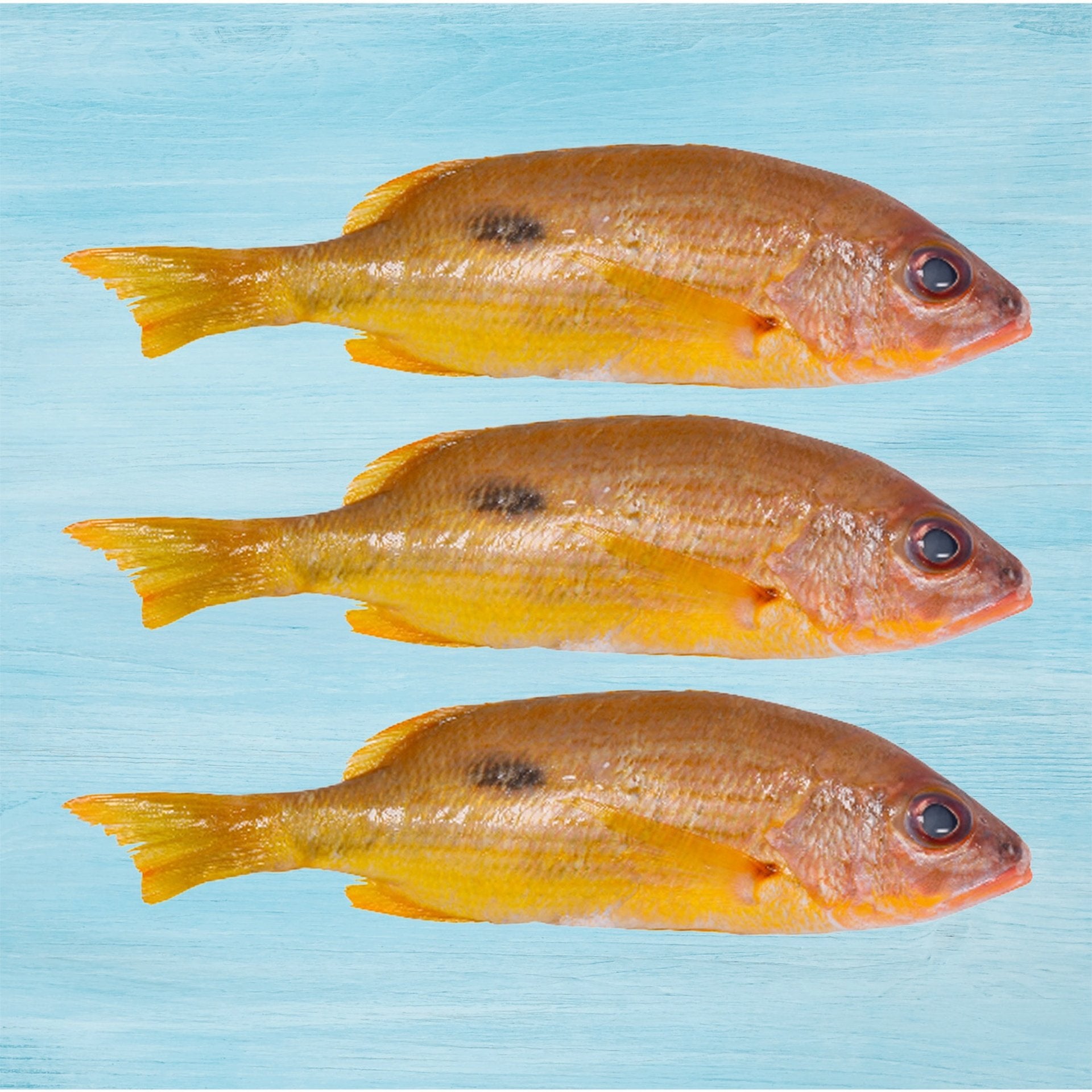 Naizer Fish Medium 1 kg