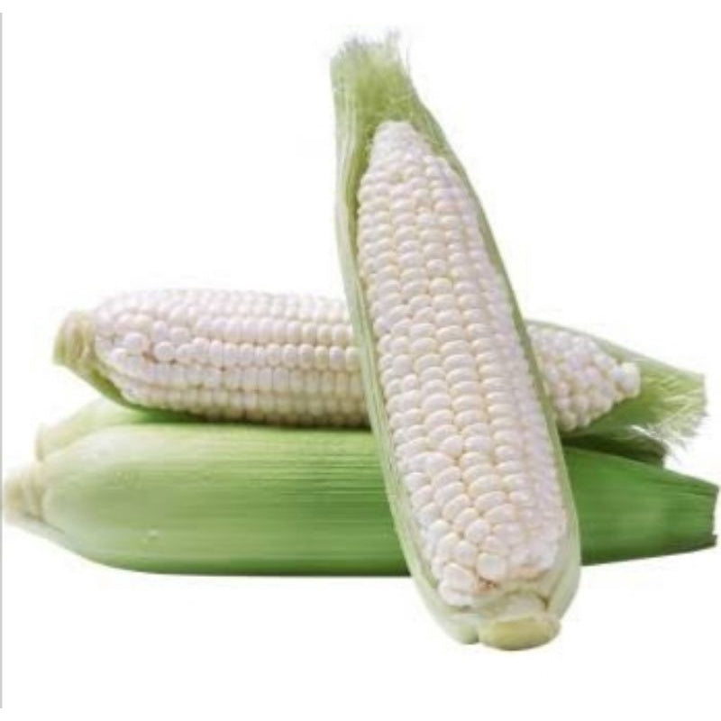Philippines White Corn (1 Per Kg)